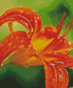 Wet Tiger Lilies Diamond Painting