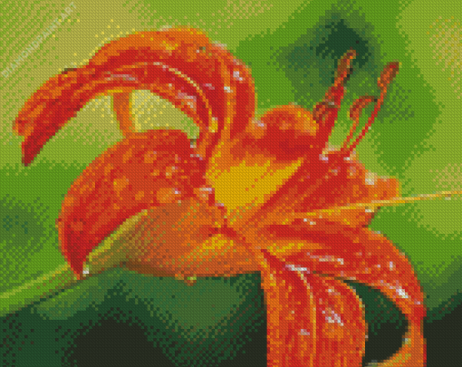 Wet Tiger Lilies Diamond Painting