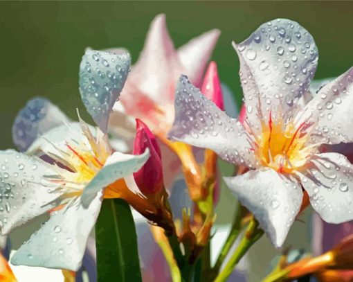 White Oleanders Flowers Diamond Painting