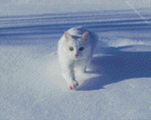 White Winter Cat Diamond Painting