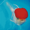 White Cap Fish Diamond Painting