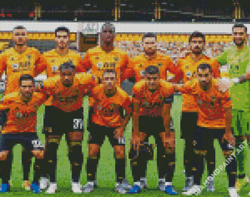 Wolves Fc Players Diamond Painting