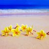 Yellow Flowers On Beach Diamond Painting