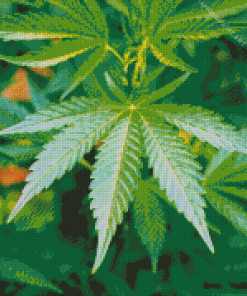 Aesthetic Cannabis Diamond Painting