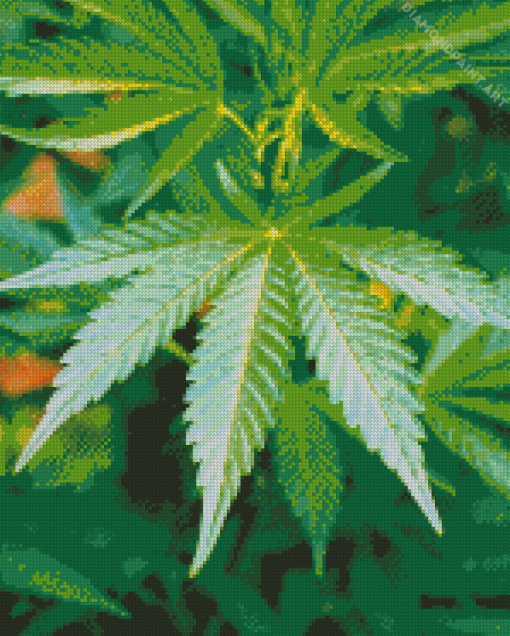 Aesthetic Cannabis Diamond Painting