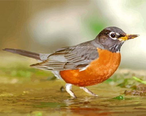 Aesthetic American Robin Diamond Painting