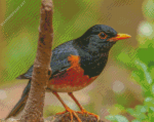 Birds Closeup Izu Thrush Bokeh Diamond Painting