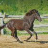 Black Indian Pony Horse Diamond Painting