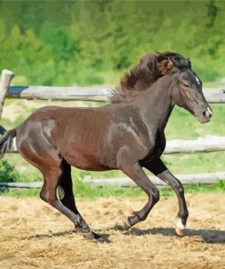 Black Indian Pony Horse Diamond Painting