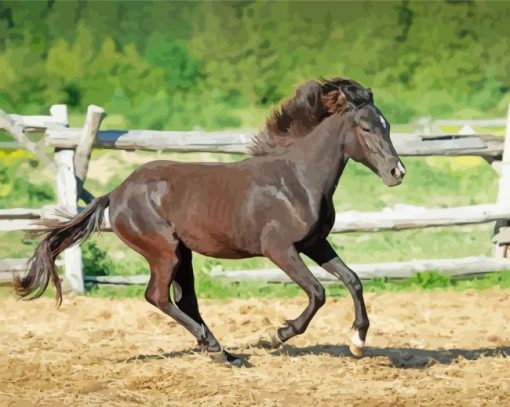 Black Indian Pony Horse Diamond Painting