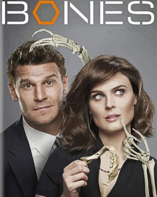 Booth And Brennan Bones Crime Serie Diamond Painting