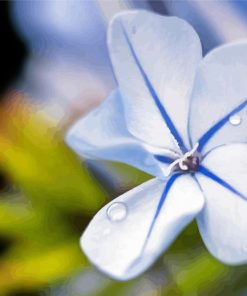 Close Up Plumbago Diamond painting