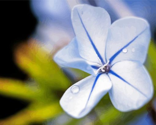 Close Up Plumbago Diamond painting