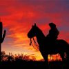 Cowboy In Arizona Silhouette Diamond Painting