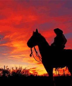 Cowboy In Arizona Silhouette Diamond Painting