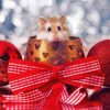 Cute Christmas Mouse Diamond Painting