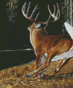 Deer Hunting Diamond Painting