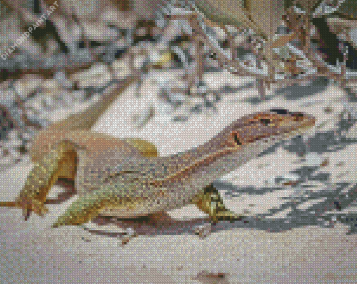 Goanna Reptile Diamond painting