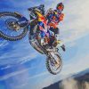 KTM 450 Rally Diamond Painting