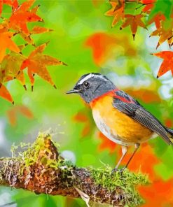 Lovely Robin In Autumn Diamond Painting