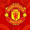 Man UTD Logo Diamond Paintings