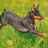 Miniature Pinscher Diamond Painting