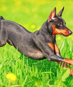 Miniature Pinscher Diamond Painting