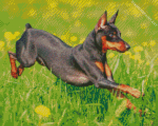 Miniature Pinscher Diamond Painting