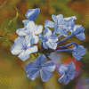 Purple Plumbago Flowers Diamond painting