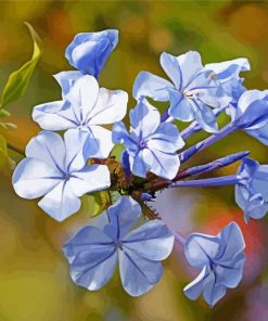 Purple Plumbago Flowers Diamond painting