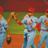 St Louis Cardinals Baseball Team Diamond Painting