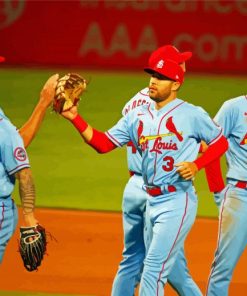 St Louis Cardinals Baseball Team Diamond Painting