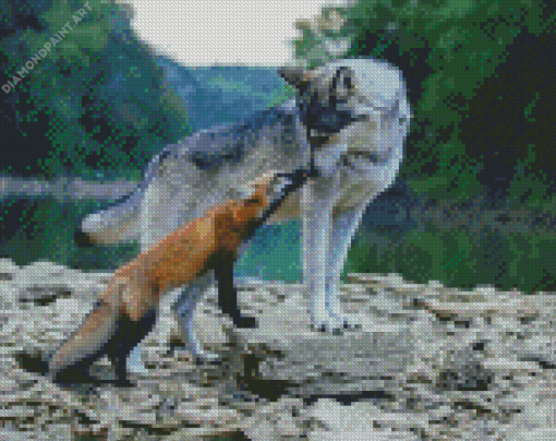 Wolf And Fox Animals Diamond Painting