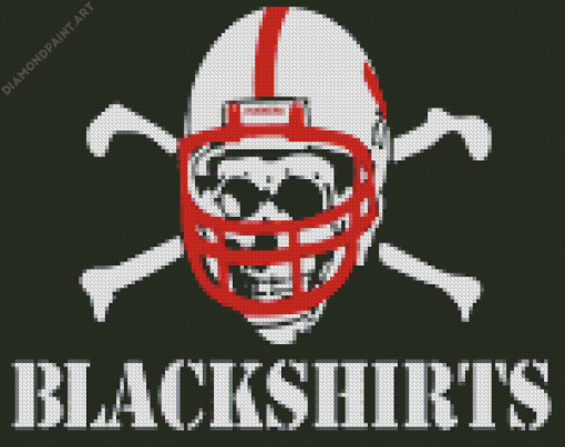 Aesthetic Nebraska Huskers Blackshirts Diamond Painting