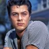 Aesthetic Tony Curtis Diamond Painting