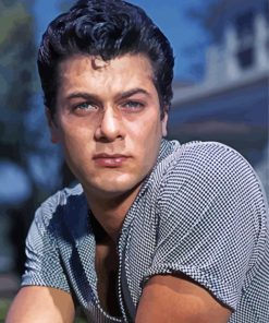 Aesthetic Tony Curtis Diamond Painting