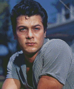 Aesthetic Tony Curtis Diamond Painting