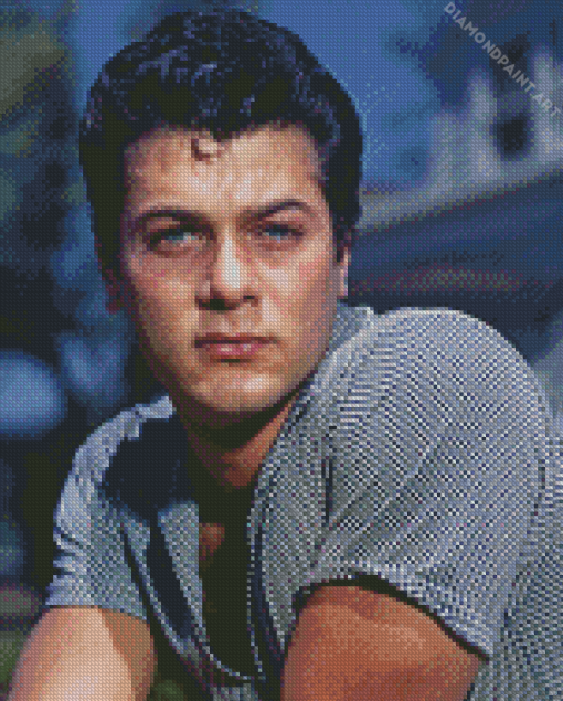 Aesthetic Tony Curtis Diamond Painting