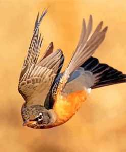 American Robin Flying Diamond Painting