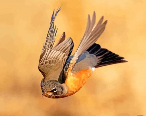 American Robin Flying Diamond Painting