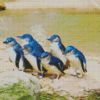 Fairy Penguins Diamond Painting