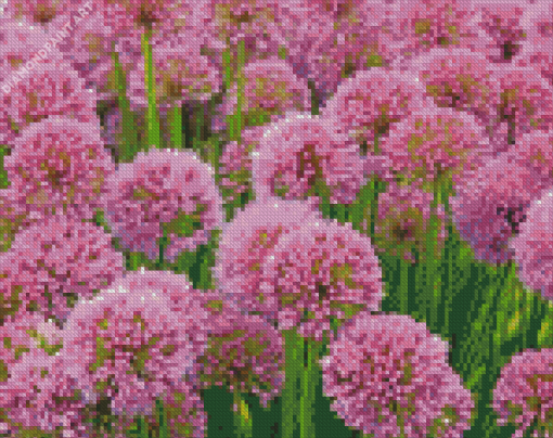 Pink Allium Flowering Plant Diamond painting