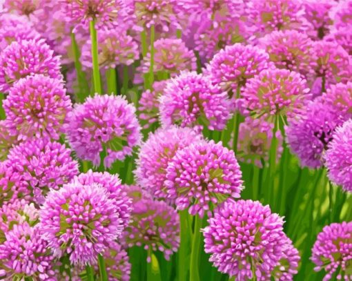 Pink Allium Flowering Plant Diamond painting