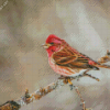 Purple Finch On Stick Diamond Painting