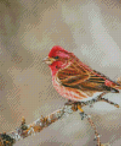 Purple Finch On Stick Diamond Painting