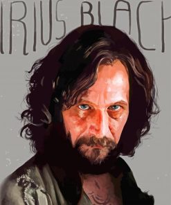 Sirius Black Art Diamond Painting