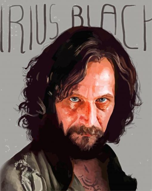 Sirius Black Art Diamond Painting