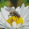 White Fly On The Flowers Diamond Painting