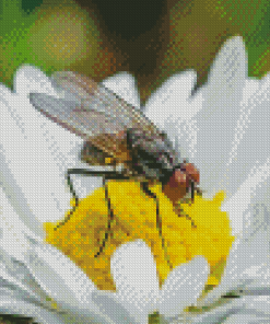 White Fly On The Flowers Diamond Painting