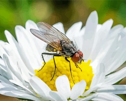 White Fly On The Flowers Diamond Painting